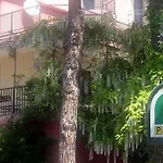 Frank לידו די ג'סולו